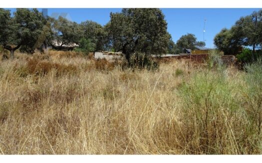 Terreno Rústico en Castilblanco de los Arroyos por Inmobiliaria Suárez